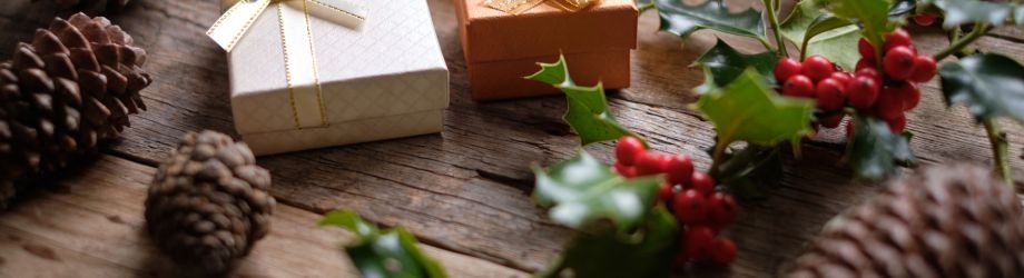 symbole-houx-noel-920x250 symbole-houx-noel-920x250