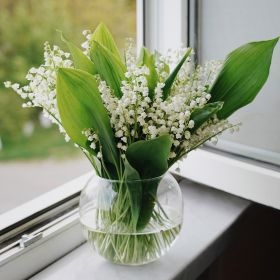 Bouquet de muguet 