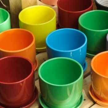 taille-des-pots-de-fleurs-350x350