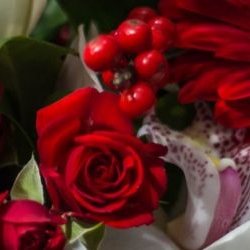 Souhaiter la bonne année avec des fleurs