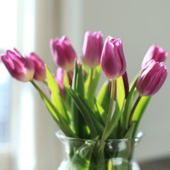 Changer l'eau des fleurs en vase : conseils et bonnes pratiques