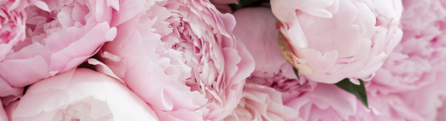 Design sans titre (19) Design sans titre (19)