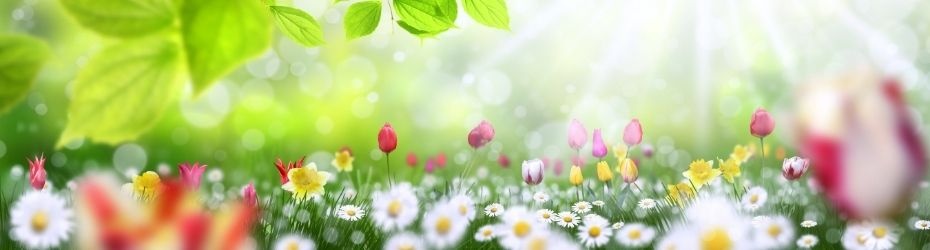 tendance-bouquet-boheme-930x250 tendance-bouquet-boheme-930x250