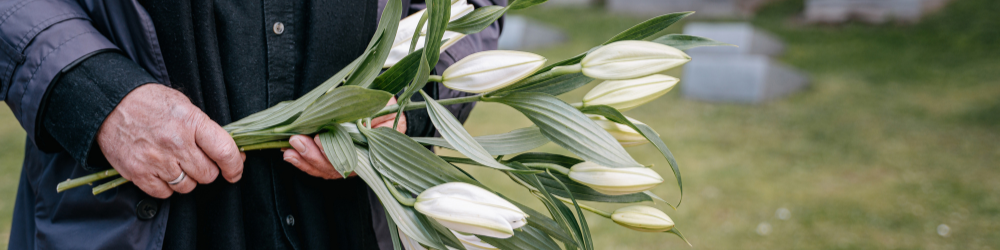 abnnière CMS  (7) abnnière CMS  (7)