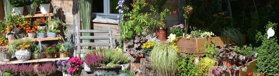 plante-fleurs-fete-des-meres-920x350 plante-fleurs-fete-des-meres-920x350