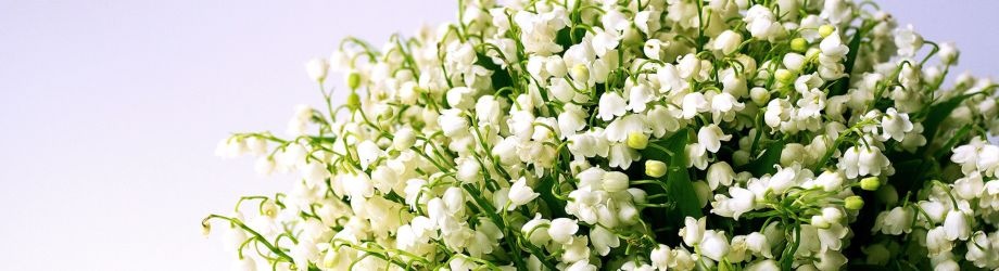 Bouquet du muguet pour le premier mai Bouquet du muguet pour le premier mai