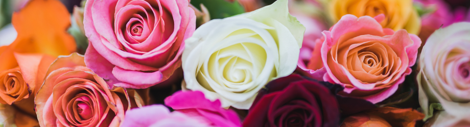 Design sans titre (21) Design sans titre (21)