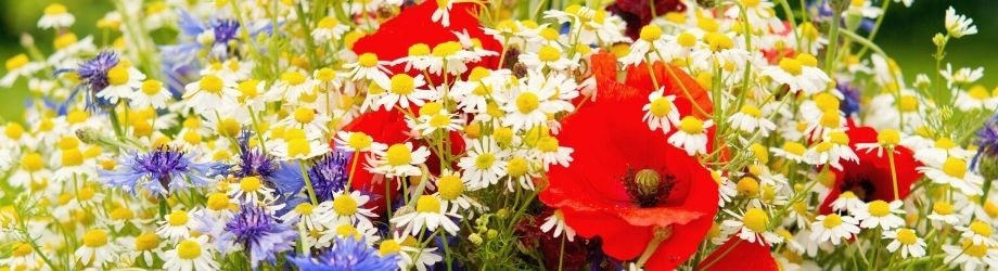 bouquet-champetre-chic-930x250 bouquet-champetre-chic-930x250