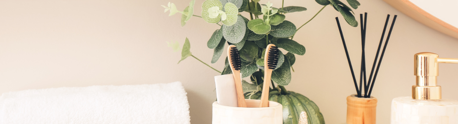 Plantes pour salle de bain Plantes pour salle de bain