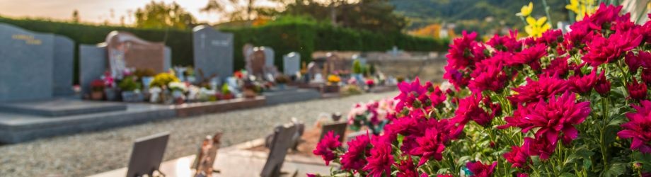 plus-beaux-cimetieres-fleuris-banniere-2-920x250 plus-beaux-cimetieres-fleuris-banniere-2-920x250