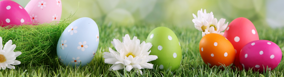 chocolat de paques caché dans le jardin chocolat de paques caché dans le jardin