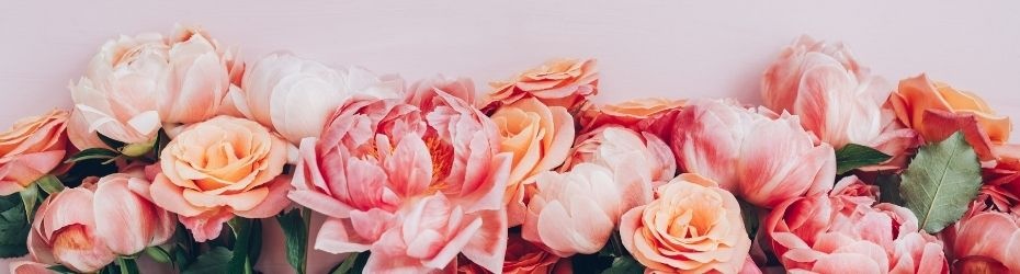 bouquet-boheme-chic-930x250 bouquet-boheme-chic-930x250