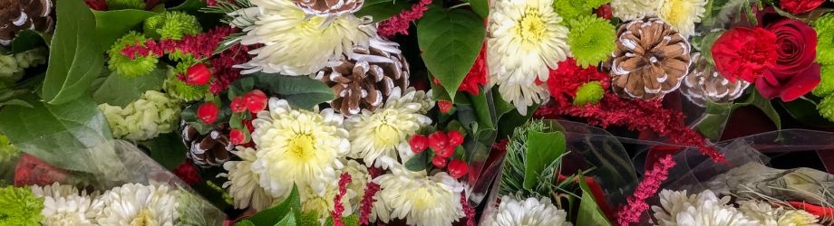 offrir-fleurs-noel-920x250 offrir-fleurs-noel-920x250