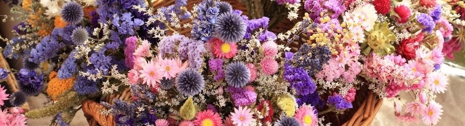 secher-des-fleurs-methodes-930x250 secher-des-fleurs-methodes-930x250