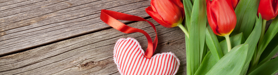 Banniere (6) Banniere (6)