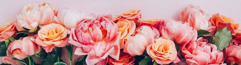entretien-pivoine-930x250