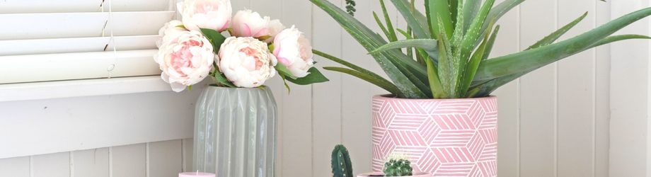 offrir-plante-fete-des-meres-920x250 offrir-plante-fete-des-meres-920x250