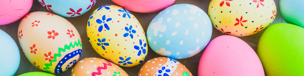 abnnière CMS (15) abnnière CMS (15)