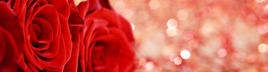 Banniere (5) Banniere (5)