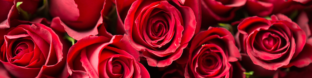 abnnière CMS  (3) abnnière CMS  (3)