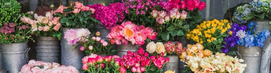 choix-fleurs-fete-des-meres-920x250 choix-fleurs-fete-des-meres-920x250