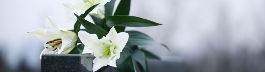 livraison-fleurs-enterrement-930x250 livraison-fleurs-enterrement-930x250