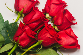 Bouquet de roses rouges éclatantes, symbole intemporel d’amour et de passion. Parfait pour la Saint-Valentin, un anniversaire ou une déclaration romantique. roses-rouges-bouquet-amour