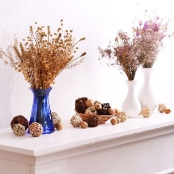 choix-vase-fleurs-sechees-350x350 choix-vase-fleurs-sechees-350x350