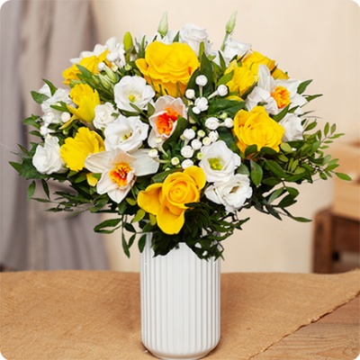 DÉCOUVRIR DÉCOUVRIR