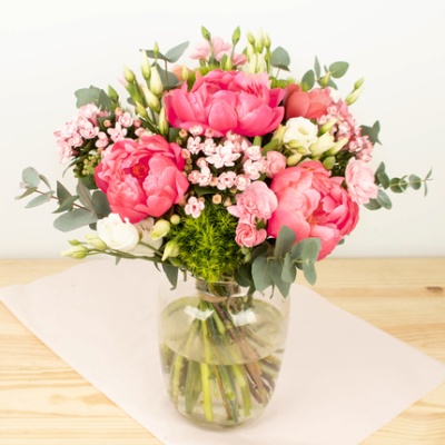 DÉCOUVRIR DÉCOUVRIR