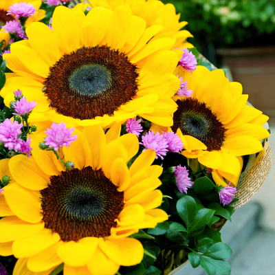 bouquet-tournesols-et-fleurs-violettes