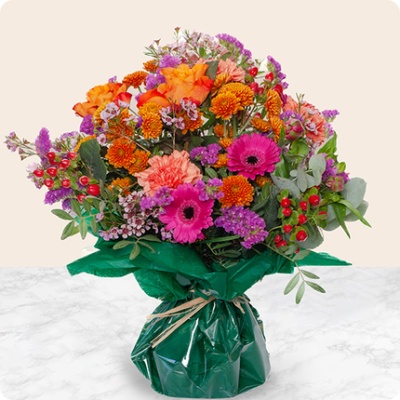 DÉCOUVRIR DÉCOUVRIR