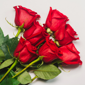 Les 10 fleurs incontournables pour la Saint-Valentin