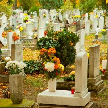 Entretien et fleurissement d'une tombe