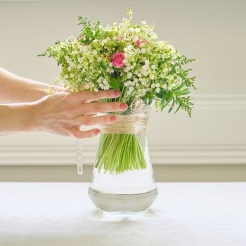 muguet-symbole-350x350 muguet-symbole-350x350