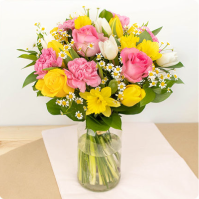 DÉCOUVRIR DÉCOUVRIR