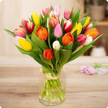 DÉCOUVRIR DÉCOUVRIR