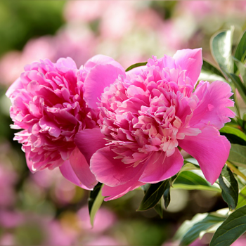 Photos_Blog_2 (3) Photos_Blog_2 (3)