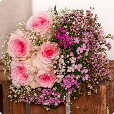 DÉCOUVRIR DÉCOUVRIR