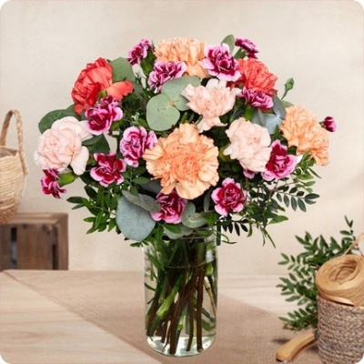 DÉCOUVRIR DÉCOUVRIR