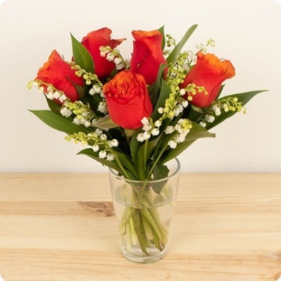 DÉCOUVRIR DÉCOUVRIR