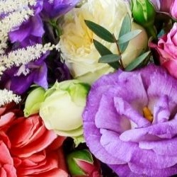 fleurs-champêtres-variées-930x250 fleurs-champêtres-variées-930x250