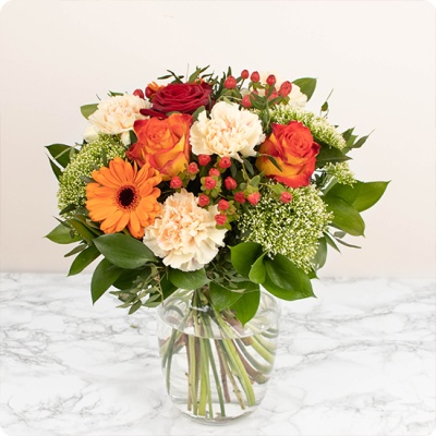 DÉCOUVRIR DÉCOUVRIR