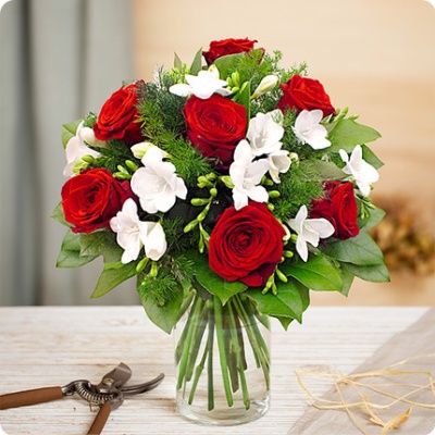 DÉCOUVRIR DÉCOUVRIR