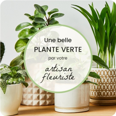 DÉCOUVRIR