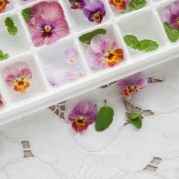 Réaliser des glaçons de fleurs : astuces et méthodes
