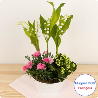 DÉCOUVRIR DÉCOUVRIR