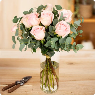 DÉCOUVRIR DÉCOUVRIR