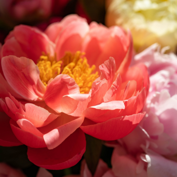 Photos_Blog_2 (4) Photos_Blog_2 (4)