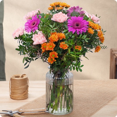 DÉCOUVRIR DÉCOUVRIR